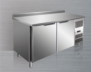 國際雙門靠背平臺雪柜